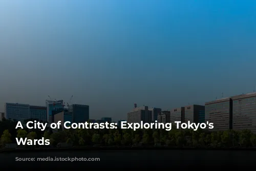 A City of Contrasts: Exploring Tokyo's Diverse Wards