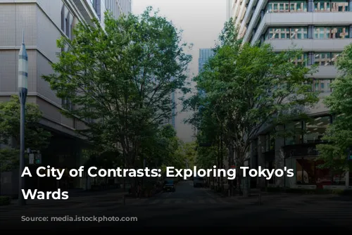 A City of Contrasts: Exploring Tokyo's Diverse Wards