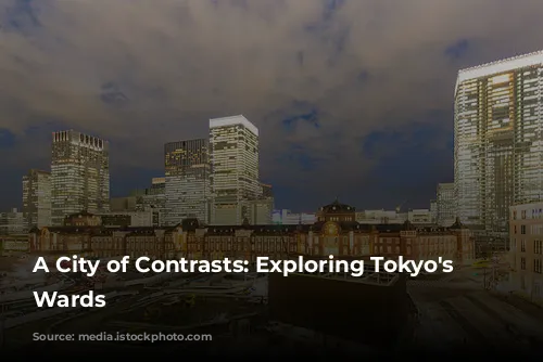 A City of Contrasts: Exploring Tokyo's Diverse Wards