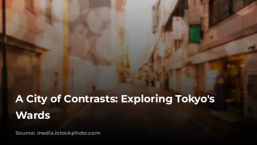 A City of Contrasts: Exploring Tokyo's Diverse Wards