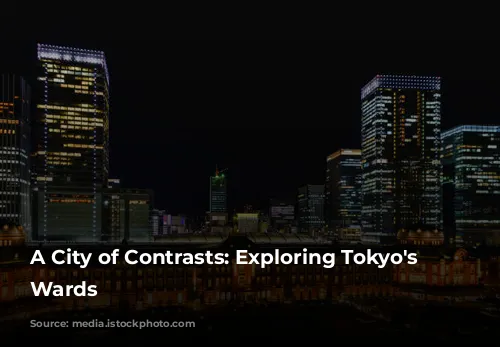 A City of Contrasts: Exploring Tokyo's Diverse Wards