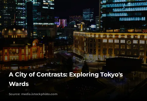 A City of Contrasts: Exploring Tokyo's Diverse Wards