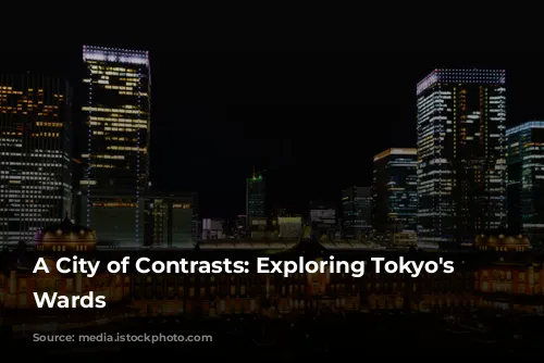 A City of Contrasts: Exploring Tokyo's Diverse Wards