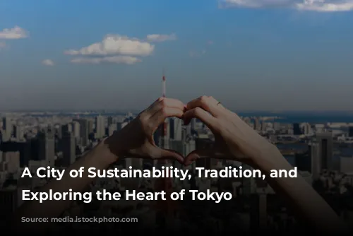 A City of Sustainability, Tradition, and Safety: Exploring the Heart of Tokyo