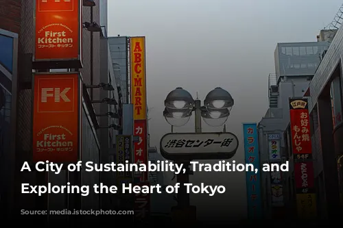 A City of Sustainability, Tradition, and Safety: Exploring the Heart of Tokyo