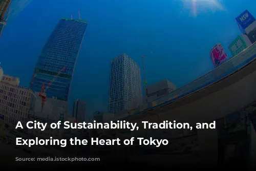 A City of Sustainability, Tradition, and Safety: Exploring the Heart of Tokyo