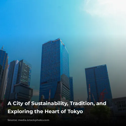 A City of Sustainability, Tradition, and Safety: Exploring the Heart of Tokyo