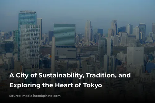 A City of Sustainability, Tradition, and Safety: Exploring the Heart of Tokyo