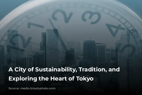 A City of Sustainability, Tradition, and Safety: Exploring the Heart of Tokyo