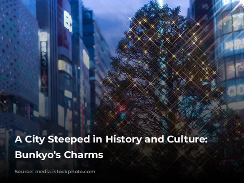 A City Steeped in History and Culture: Unveiling Bunkyo's Charms