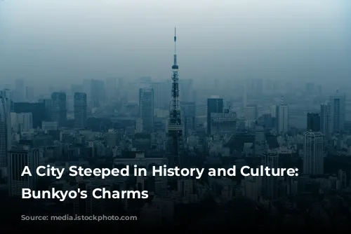 A City Steeped in History and Culture: Unveiling Bunkyo's Charms