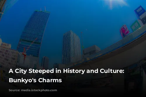 A City Steeped in History and Culture: Unveiling Bunkyo's Charms