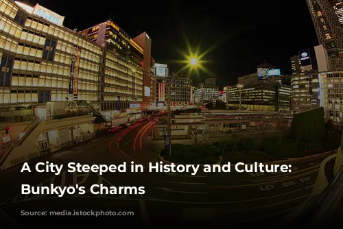 A City Steeped in History and Culture: Unveiling Bunkyo's Charms