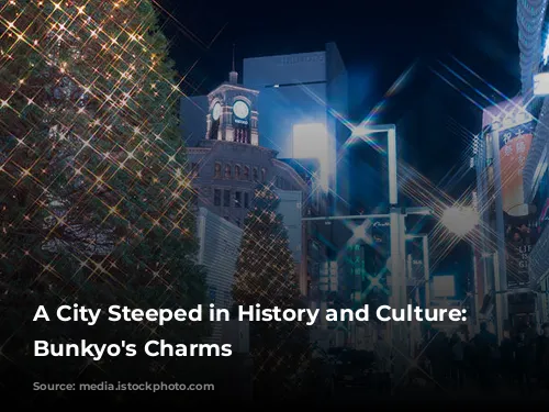 A City Steeped in History and Culture: Unveiling Bunkyo's Charms