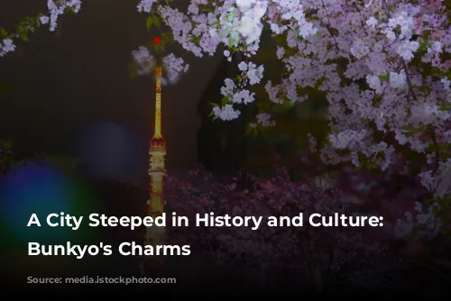 A City Steeped in History and Culture: Unveiling Bunkyo's Charms