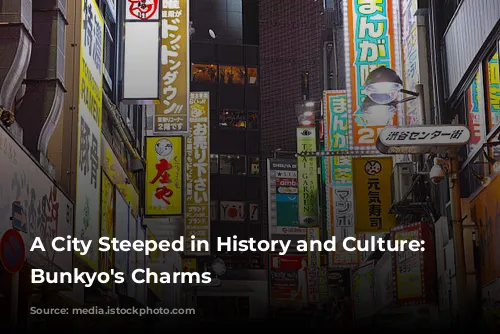 A City Steeped in History and Culture: Unveiling Bunkyo's Charms