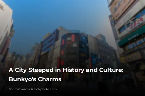 A City Steeped in History and Culture: Unveiling Bunkyo's Charms