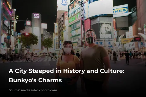 A City Steeped in History and Culture: Unveiling Bunkyo's Charms