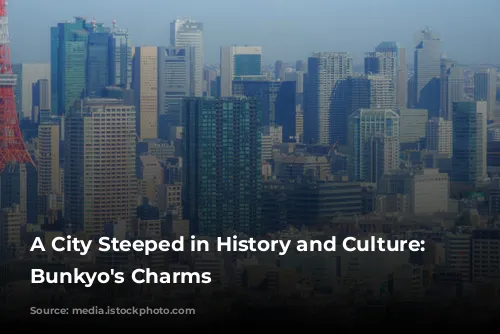 A City Steeped in History and Culture: Unveiling Bunkyo's Charms