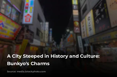 A City Steeped in History and Culture: Unveiling Bunkyo's Charms