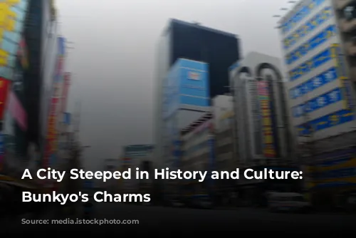 A City Steeped in History and Culture: Unveiling Bunkyo's Charms