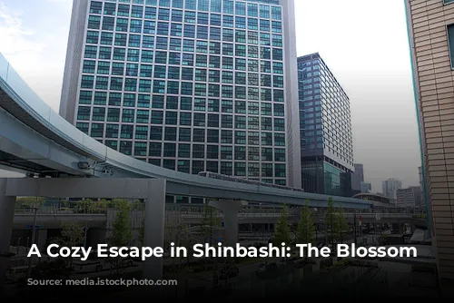 A Cozy Escape in Shinbashi: The Blossom Hotel