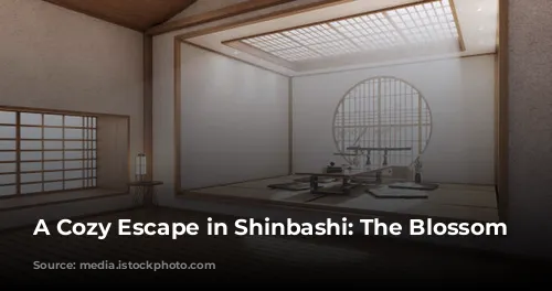 A Cozy Escape in Shinbashi: The Blossom Hotel