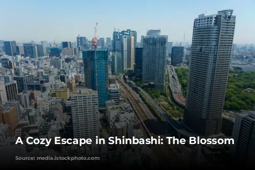 A Cozy Escape in Shinbashi: The Blossom Hotel