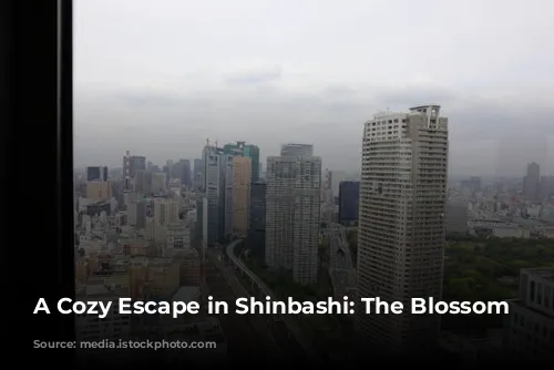 A Cozy Escape in Shinbashi: The Blossom Hotel