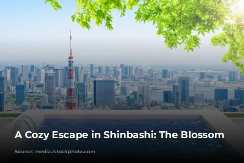 A Cozy Escape in Shinbashi: The Blossom Hotel