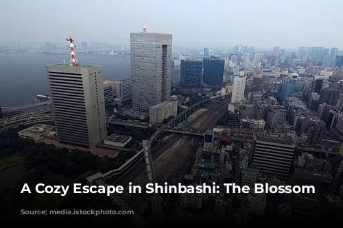 A Cozy Escape in Shinbashi: The Blossom Hotel