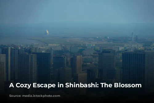 A Cozy Escape in Shinbashi: The Blossom Hotel