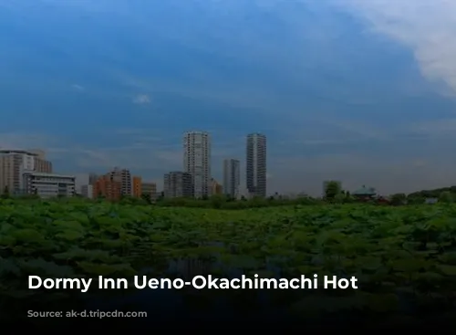 Dormy Inn Ueno-Okachimachi Hot Spring