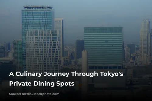 A Culinary Journey Through Tokyo's Stylish Private Dining Spots