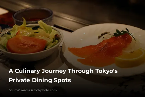 A Culinary Journey Through Tokyo's Stylish Private Dining Spots