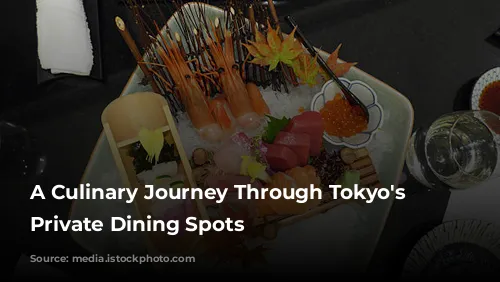 A Culinary Journey Through Tokyo's Stylish Private Dining Spots