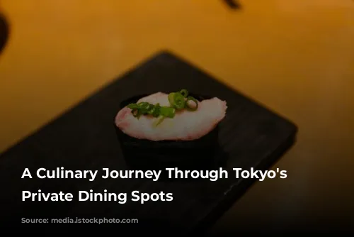 A Culinary Journey Through Tokyo's Stylish Private Dining Spots