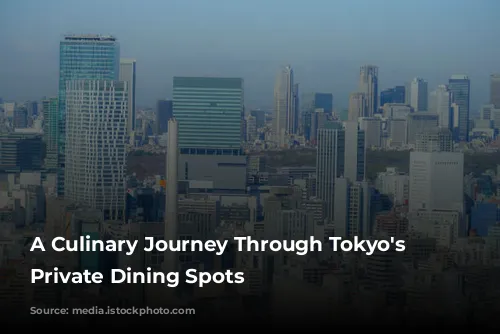 A Culinary Journey Through Tokyo's Stylish Private Dining Spots