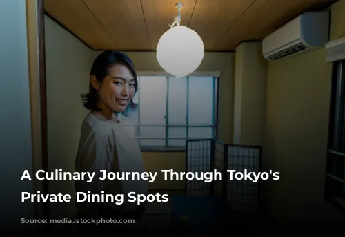 A Culinary Journey Through Tokyo's Stylish Private Dining Spots