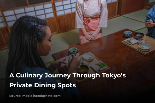 A Culinary Journey Through Tokyo's Stylish Private Dining Spots