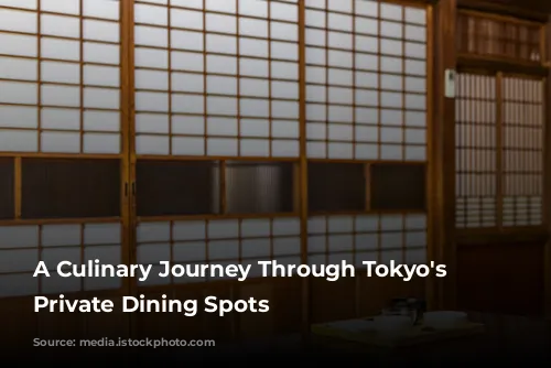 A Culinary Journey Through Tokyo's Stylish Private Dining Spots