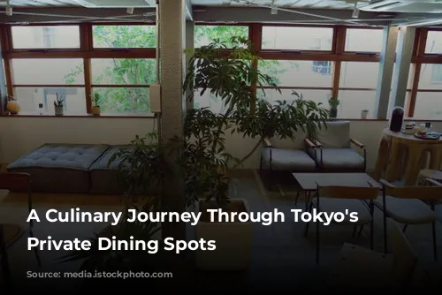 A Culinary Journey Through Tokyo's Stylish Private Dining Spots