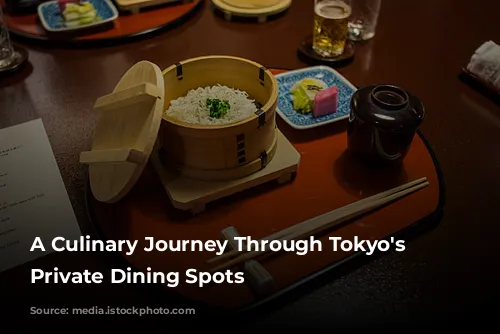 A Culinary Journey Through Tokyo's Stylish Private Dining Spots