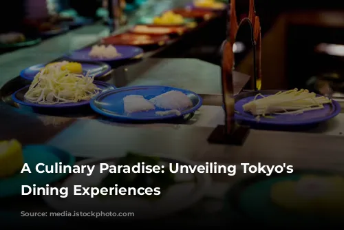 A Culinary Paradise: Unveiling Tokyo's Finest Dining Experiences