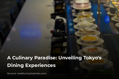 A Culinary Paradise: Unveiling Tokyo's Finest Dining Experiences