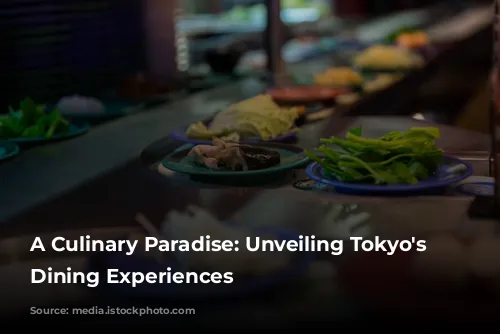 A Culinary Paradise: Unveiling Tokyo's Finest Dining Experiences