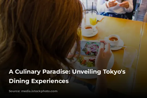 A Culinary Paradise: Unveiling Tokyo's Finest Dining Experiences