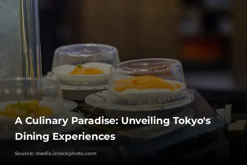 A Culinary Paradise: Unveiling Tokyo's Finest Dining Experiences