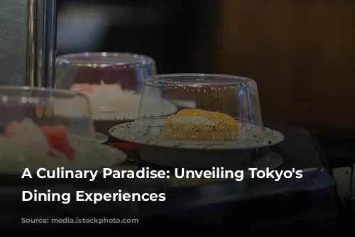 A Culinary Paradise: Unveiling Tokyo's Finest Dining Experiences