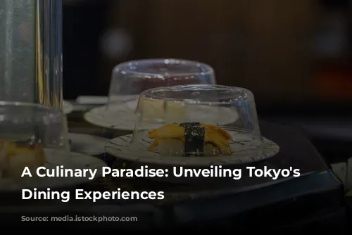 A Culinary Paradise: Unveiling Tokyo's Finest Dining Experiences